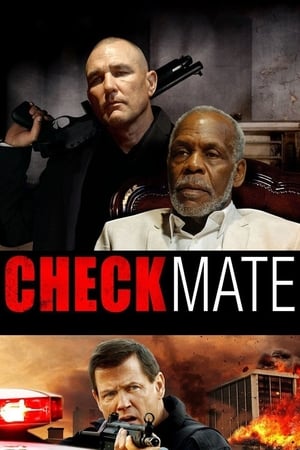 Checkmate (2015) Hindi Dual Audio Bluray 720p [833MB] Download - Movierulz