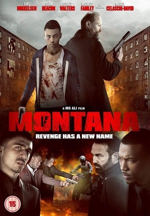 Montana (2014) Hindi Dual Audio 720p BluRay [900MB] - Movierulz