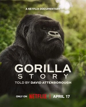 A Gorilla Story Told By David Attenborough 2026 English Audio WEB-DL 720p - 1080p - 2160p - Movierulz