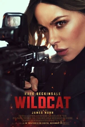Wildcat 2025 Hindi Dual Audio WEB-DL 720p - 480p - 1080p - Movierulz