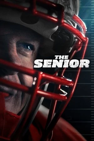 The Senior 2025 Hindi - English Audio WEB-DL 720p - 480p - 1080p - Movierulz