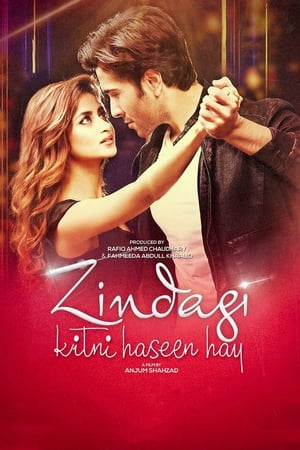 Zindagi Kitni Haseen Hay (2016) Pakistani Movie 480p HDRip Download - Movierulz